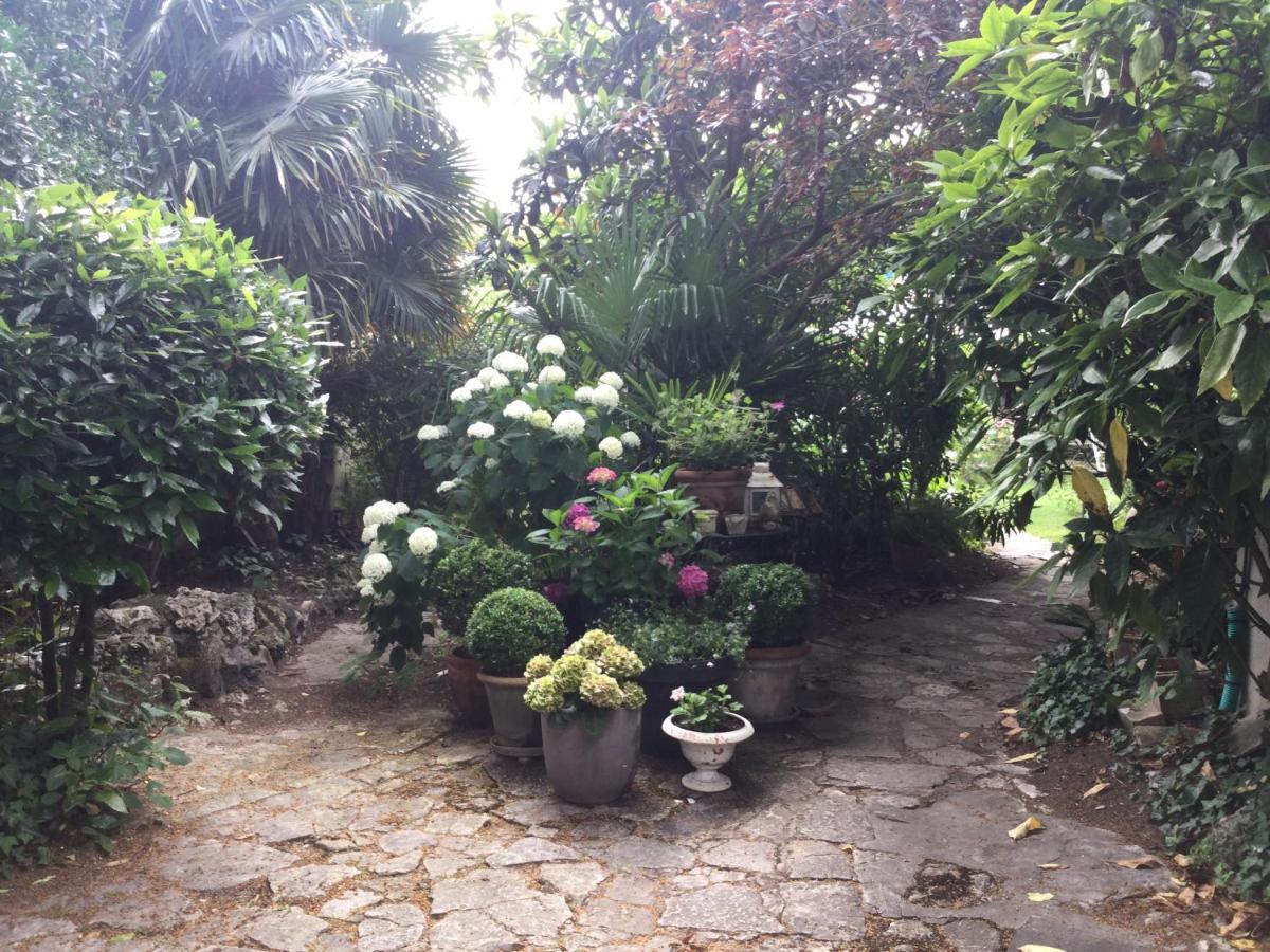 L'Orangerie Du General Bed & Breakfast Saint-Jean-dʼAngély Екстериор снимка